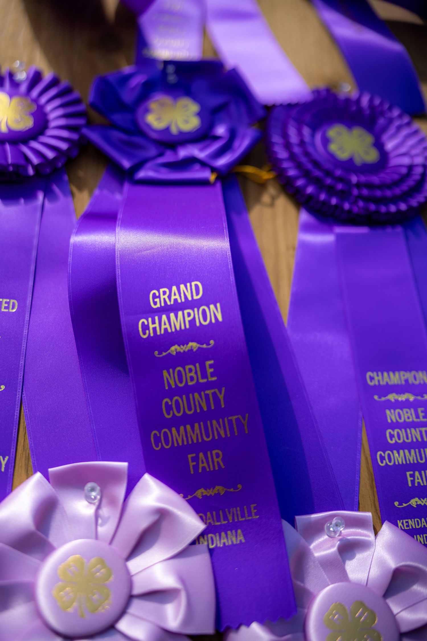 Purple Grand Champion ribbon from Noble County Community Fair in Kendallville Indiana.
