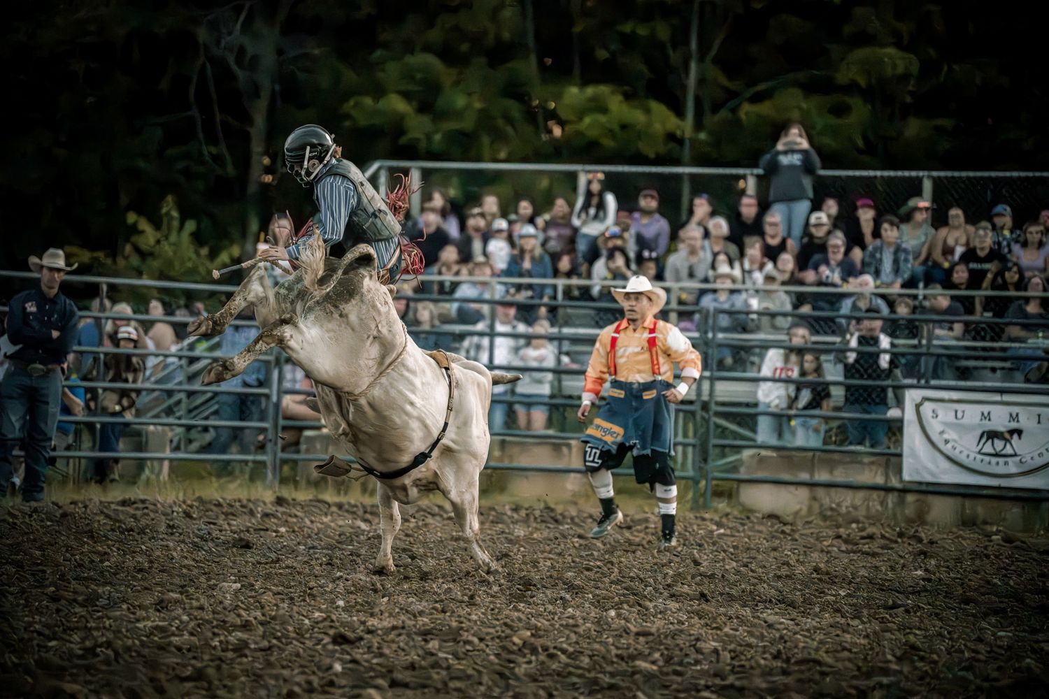 Rodeo clown stands nearby as a bull rider attempts to stay on a bucking white bull at a rodeo.