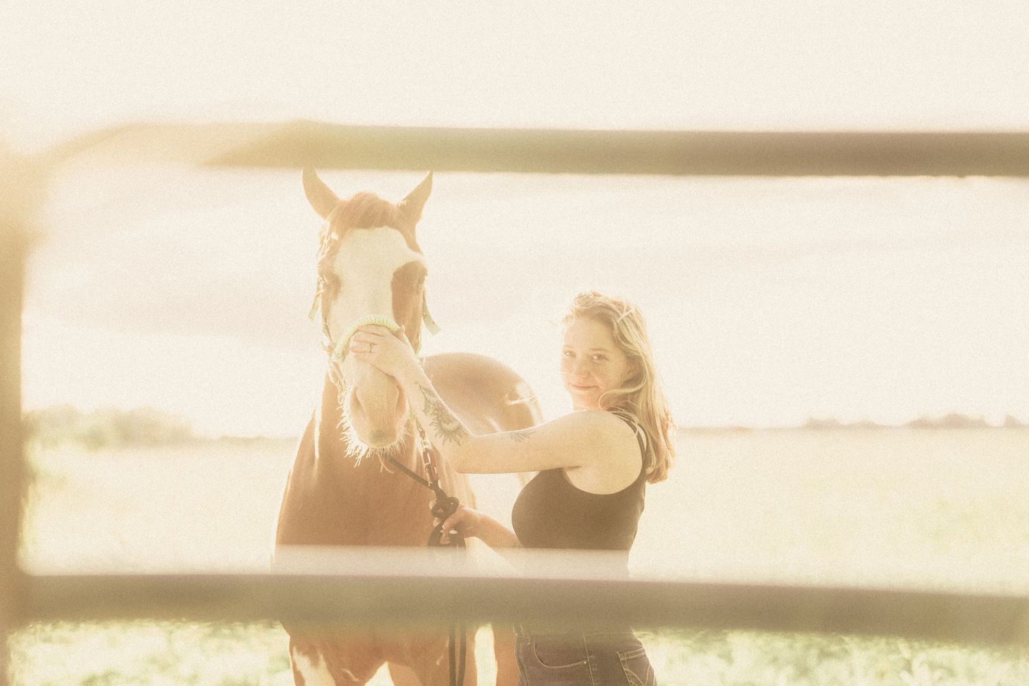 Woman gently stroking a brown horse near a wooden fence in a sunlit golden field.
