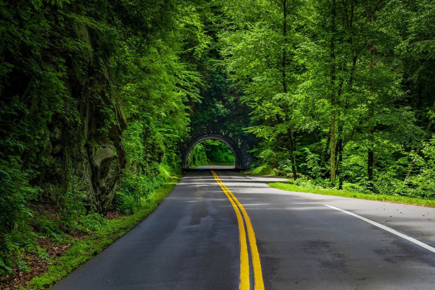 A lush green tree-lined road with yellow center lines leads through a stone tunnel arch in a forest.