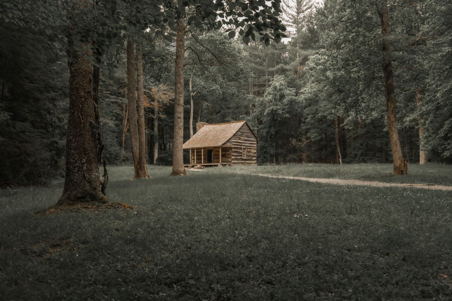 A rustic log cabin nestled in a lush green forest clearing surrounded by tall trees in a serene woodland setting.