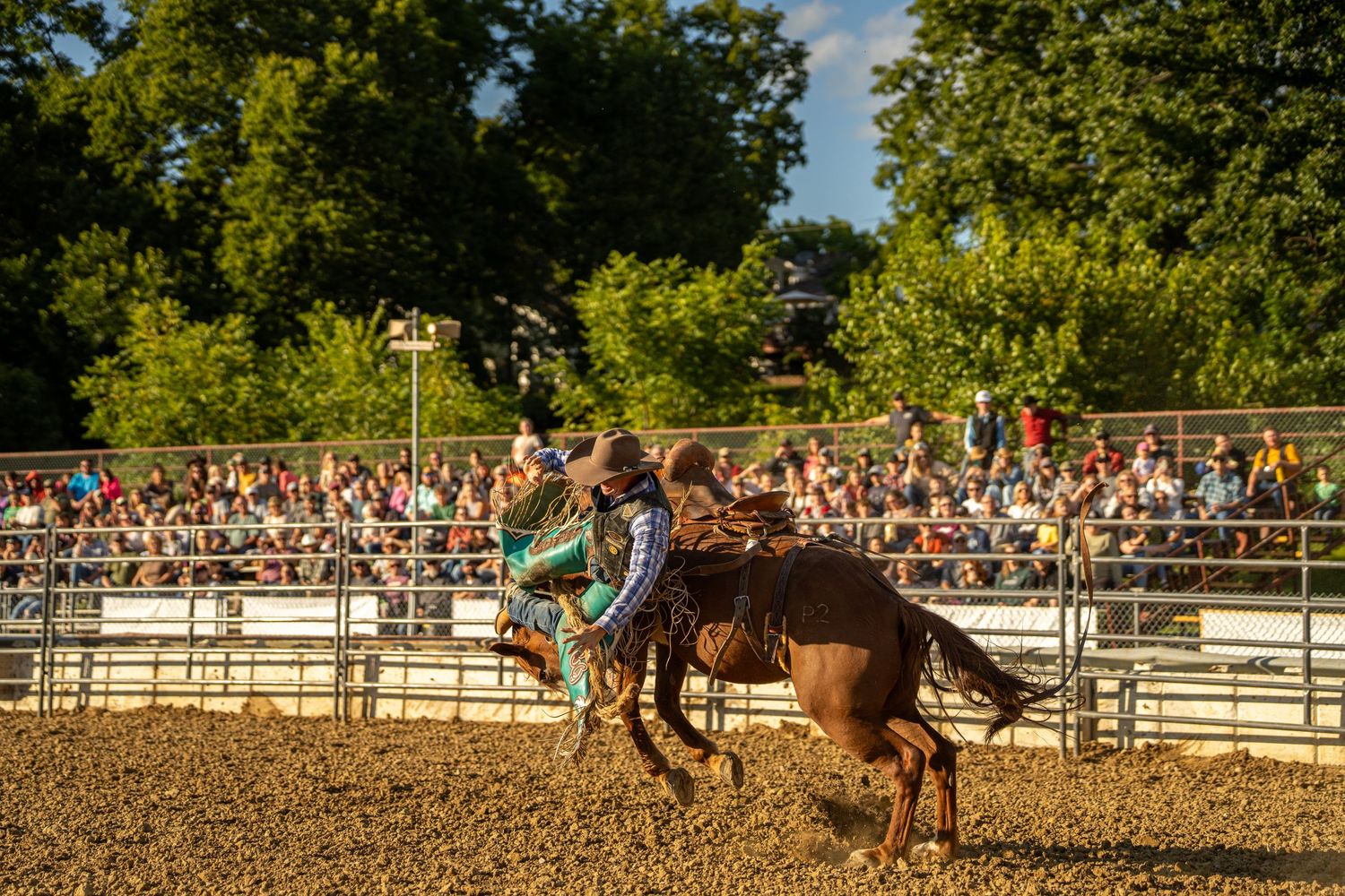 Cowboy riding a bucking bronco at a rodeo with a large crowd of spectators watching from the stands.