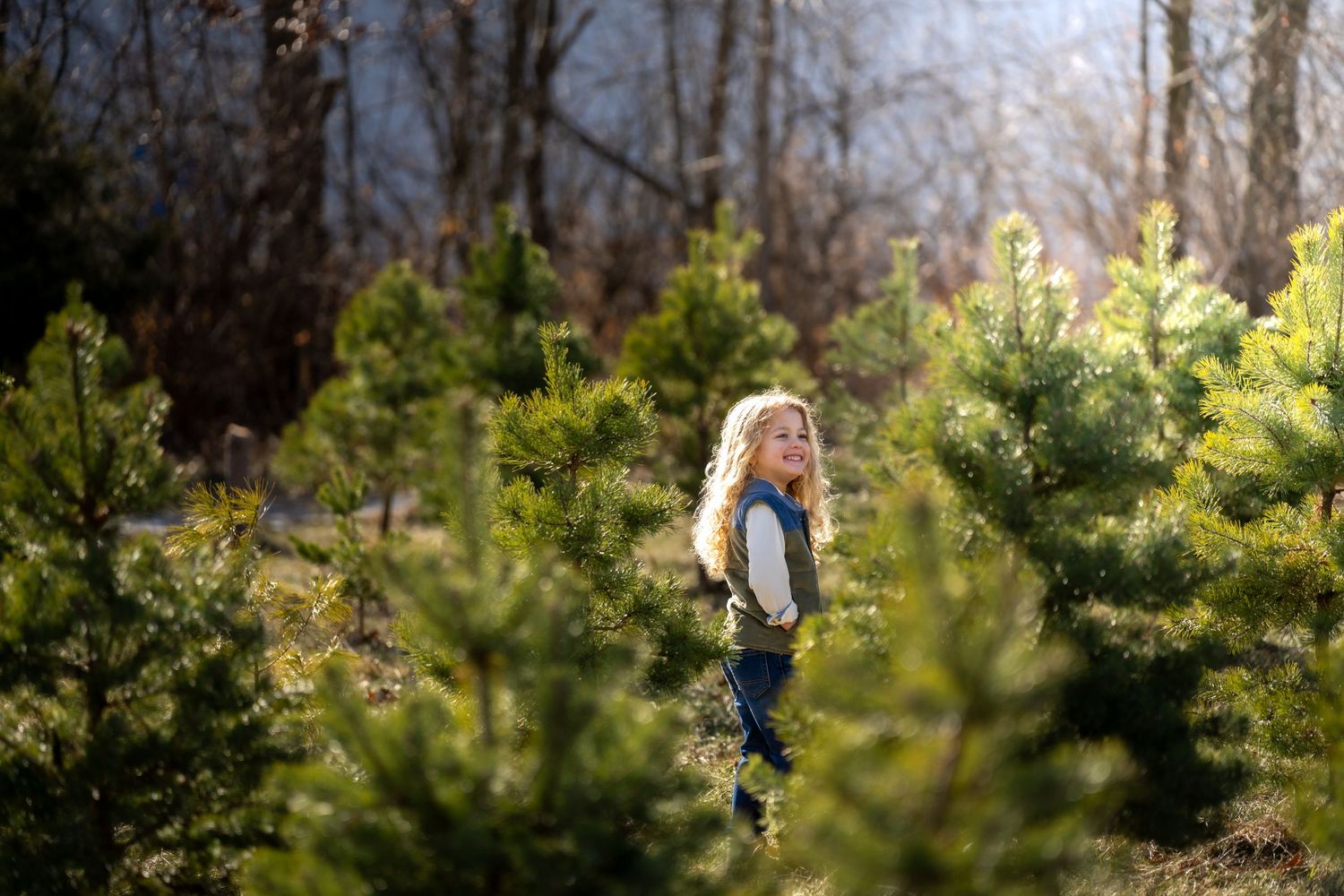 A young girl with curly hair walks through rows of small green pine trees at a Christmas tree farm.