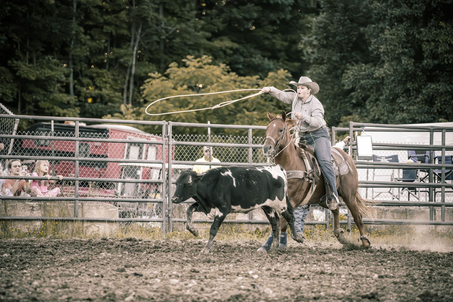 A cowboy on horseback swings a lasso toward a black and white calf during a rodeo roping event.