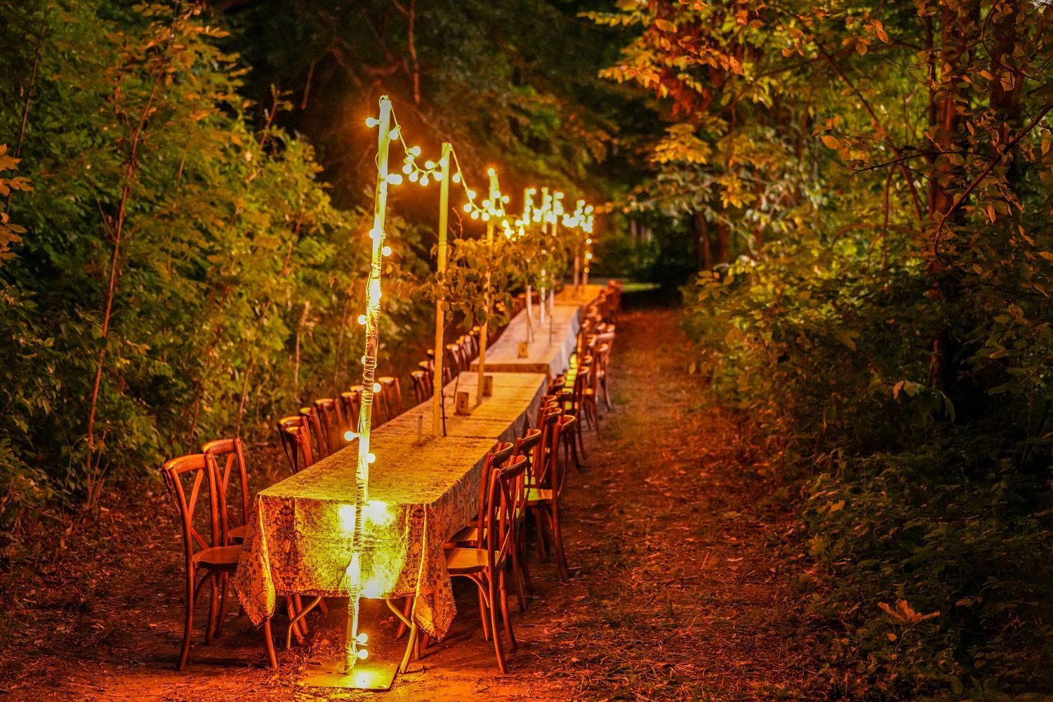 Warmly lit outdoor banquet table with string lights and glowing lanterns along a forest path at night.