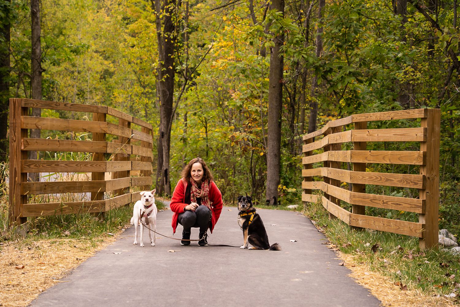 Woman in red jacket crouching on paved trail with two dogs beside wooden fence in autumn forest park.