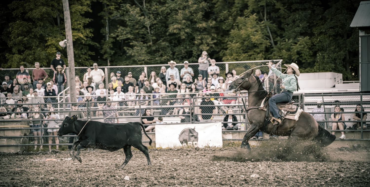 A cowboy on horseback pursues a black steer across a dirt arena while spectators watch from the stands.