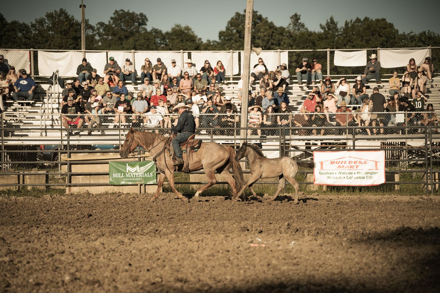 Cowboy leads a gray horse through a rodeo arena while spectators watch from the grandstands.