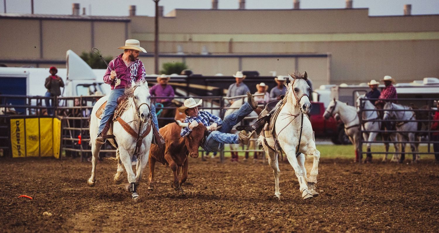 Cowboys on white horses compete in a rodeo event at an outdoor arena during a western riding competition.