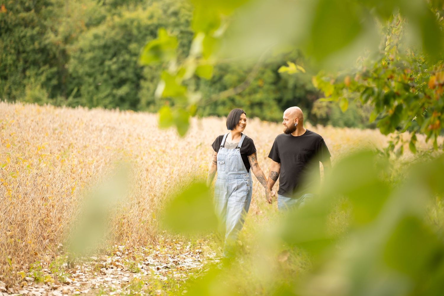 Couple holding hands walking through a golden wheat field framed by green leaves.