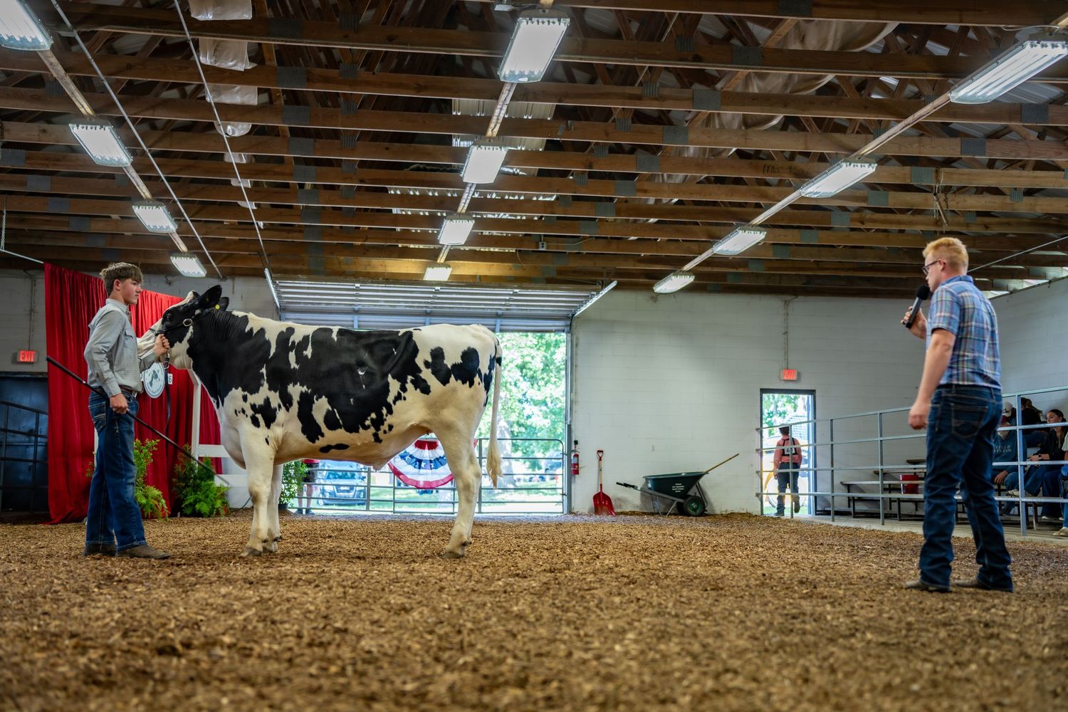 Two young handlers showing a black and white Holstein cow in an indoor livestock arena.