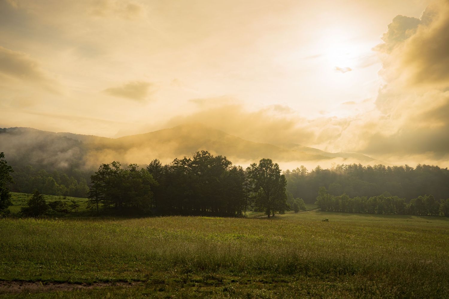 Misty morning landscape with lush green meadow, trees, and golden sunlight breaking through dramatic clouds over rolling hills.