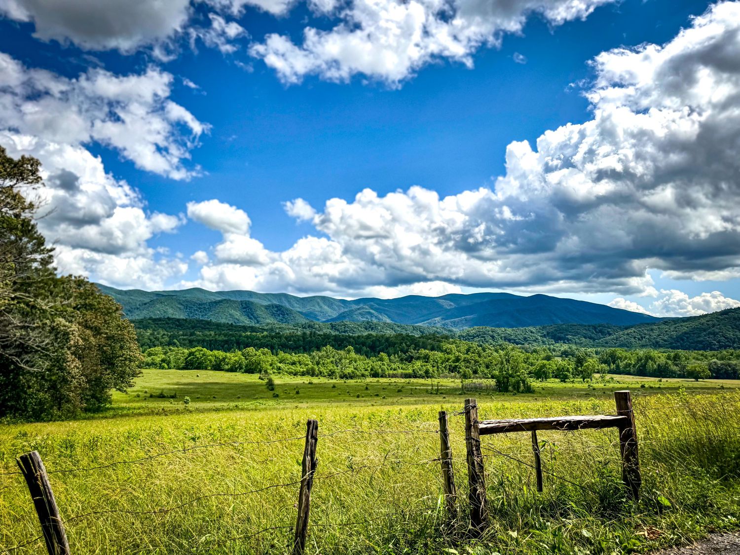 Bright sunny day over Cades Cove green valley with mountain views, white clouds, and wooden fence.