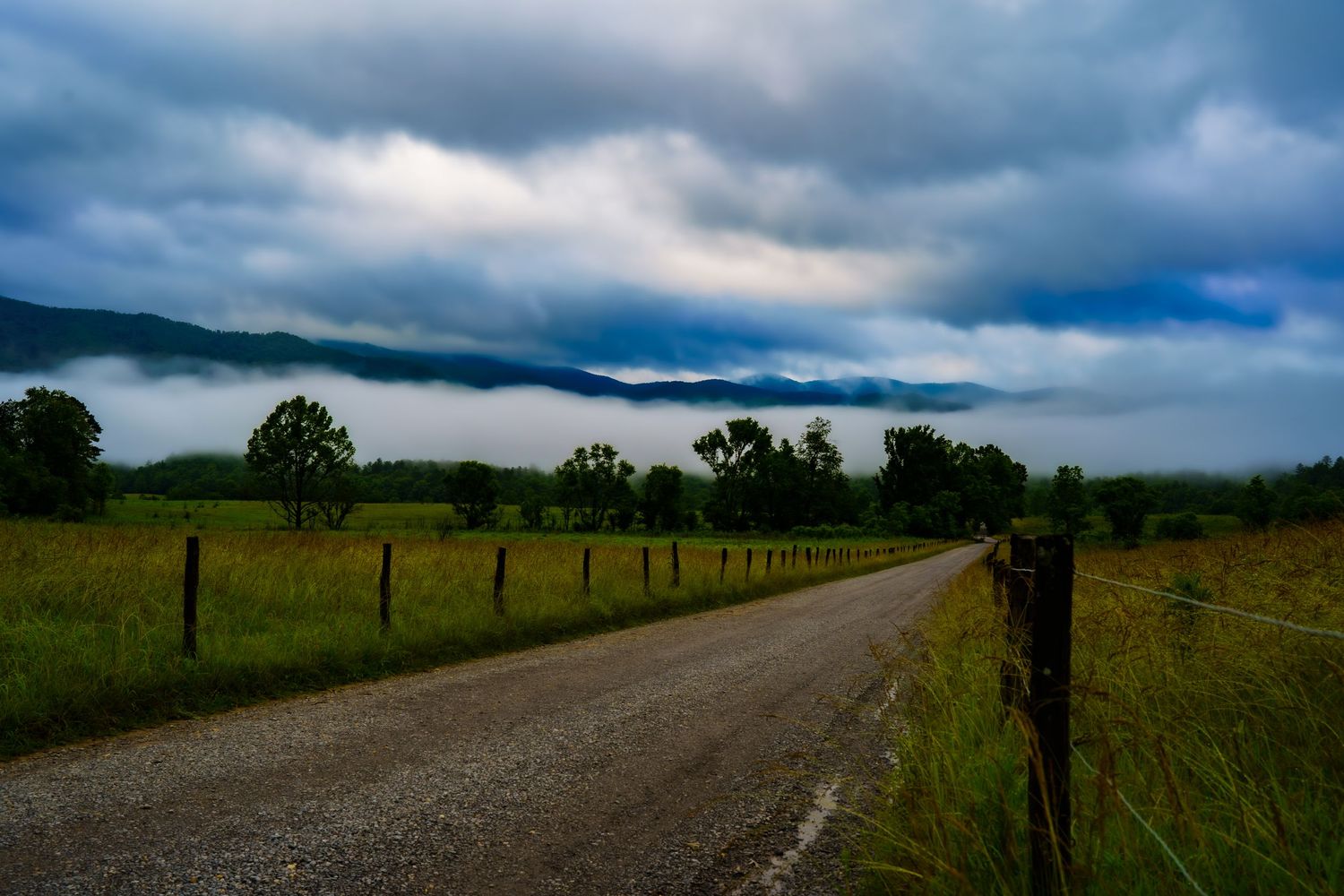 A gravel road stretches through foggy mountain meadows under cloudy skies.
