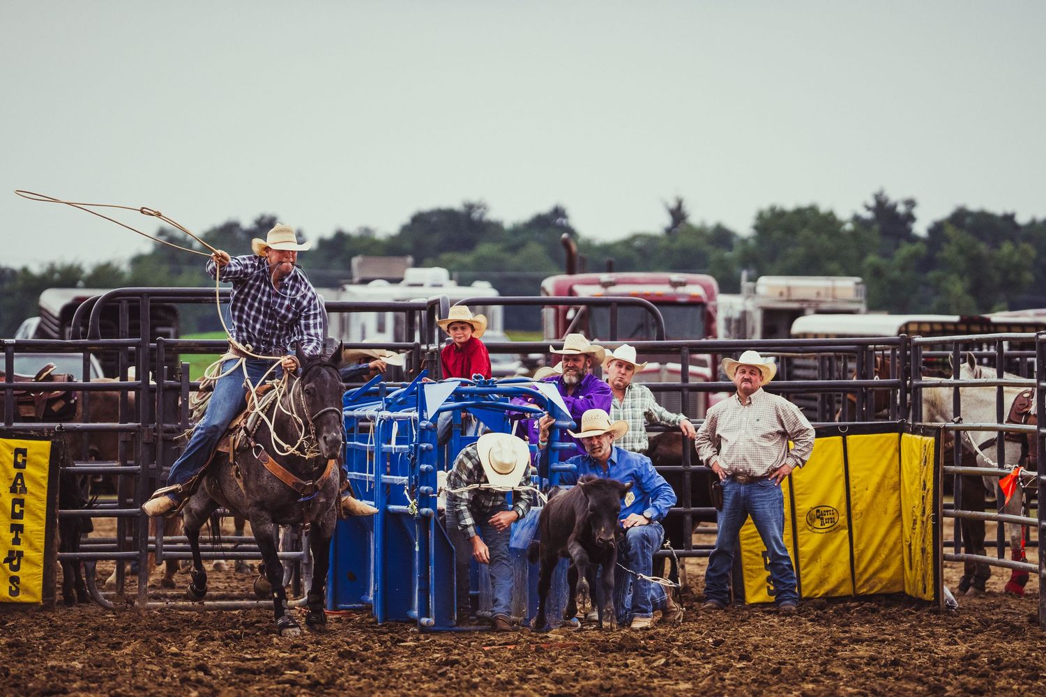 Cowboys compete in a lively rodeo event, with a rider swinging a lasso while spectators watch from behind arena fences.
