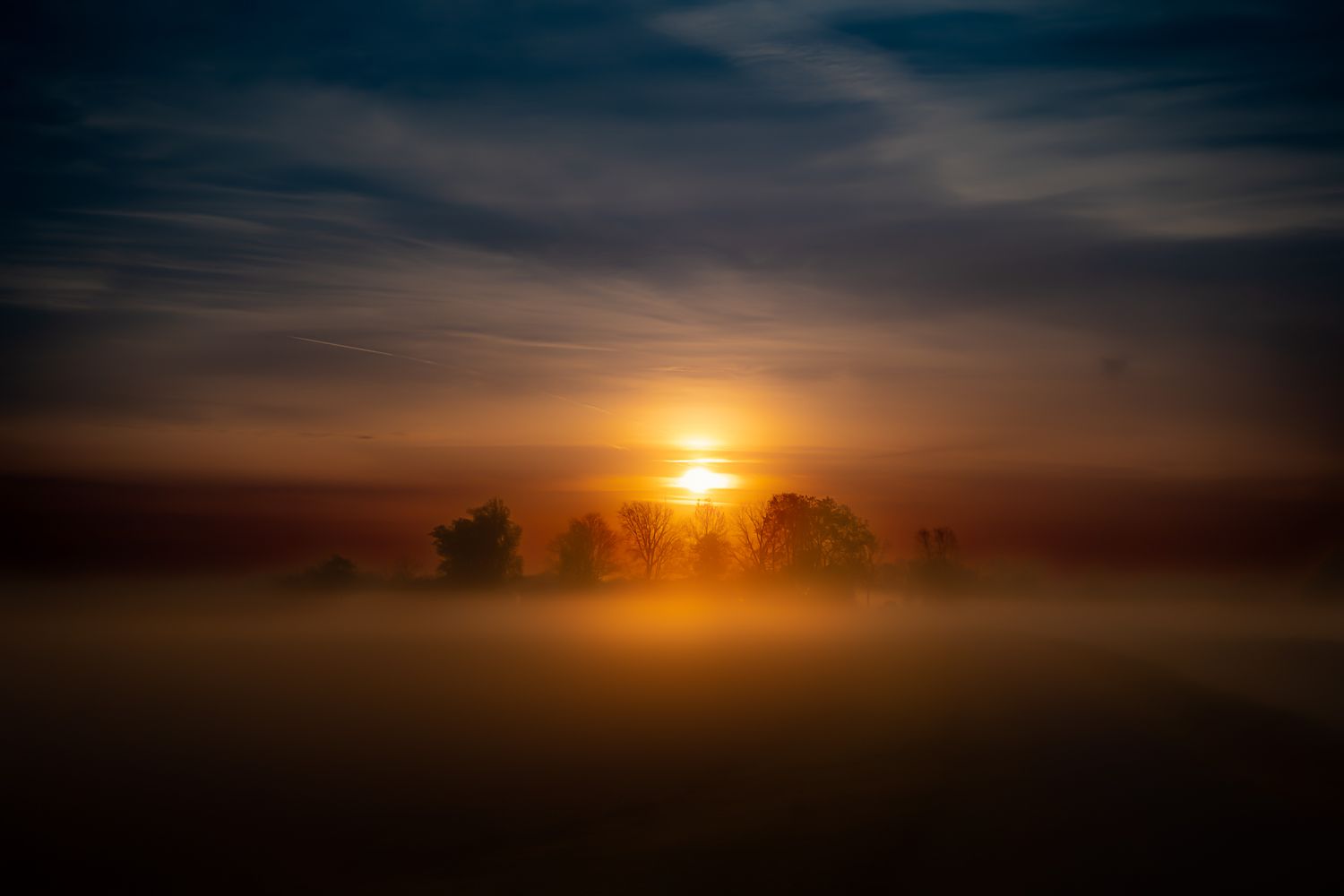 Misty sunrise over silhouetted trees with golden light glowing through fog at dusk in a serene landscape.