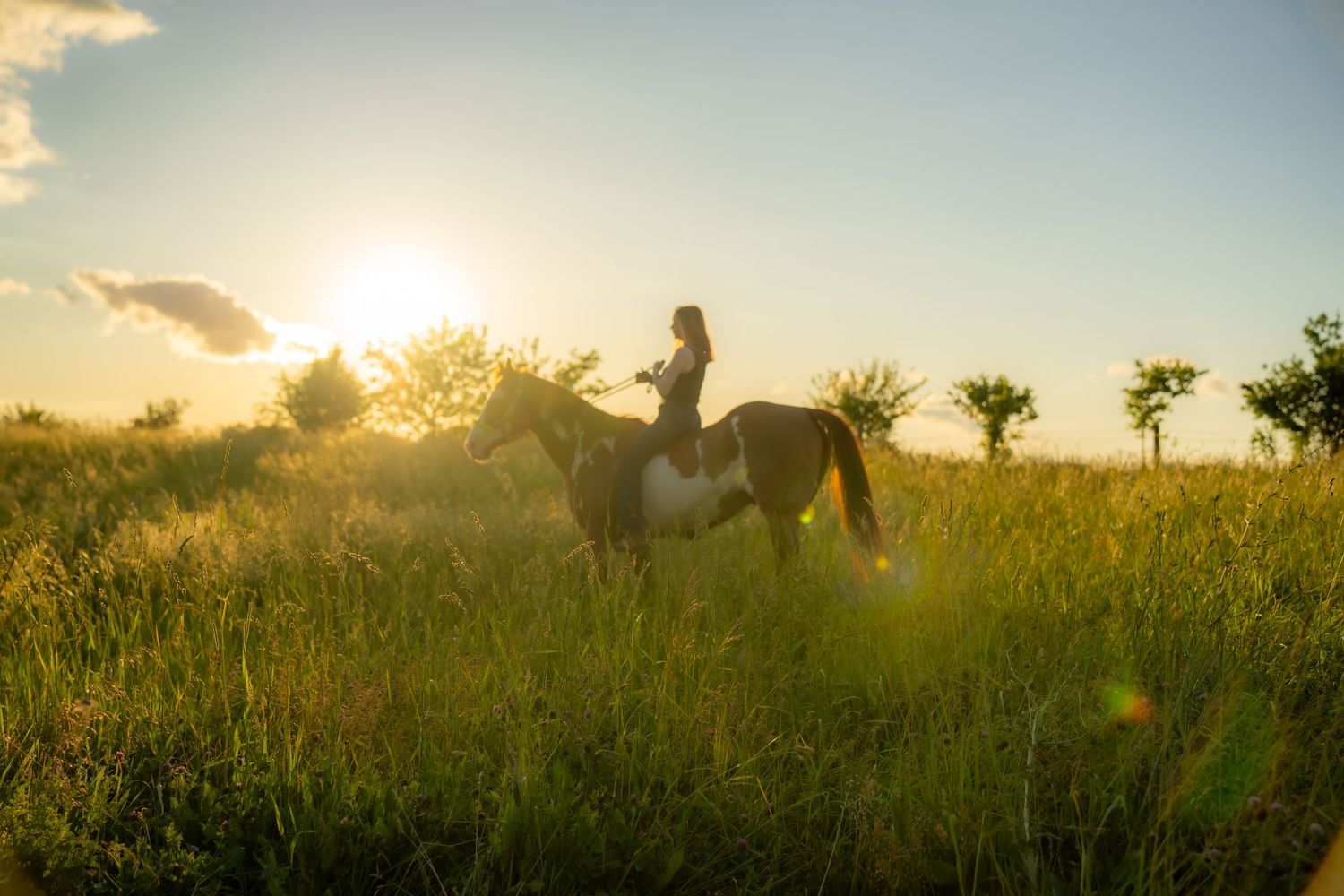 Woman riding a horse in a lush green field during a golden sunset.