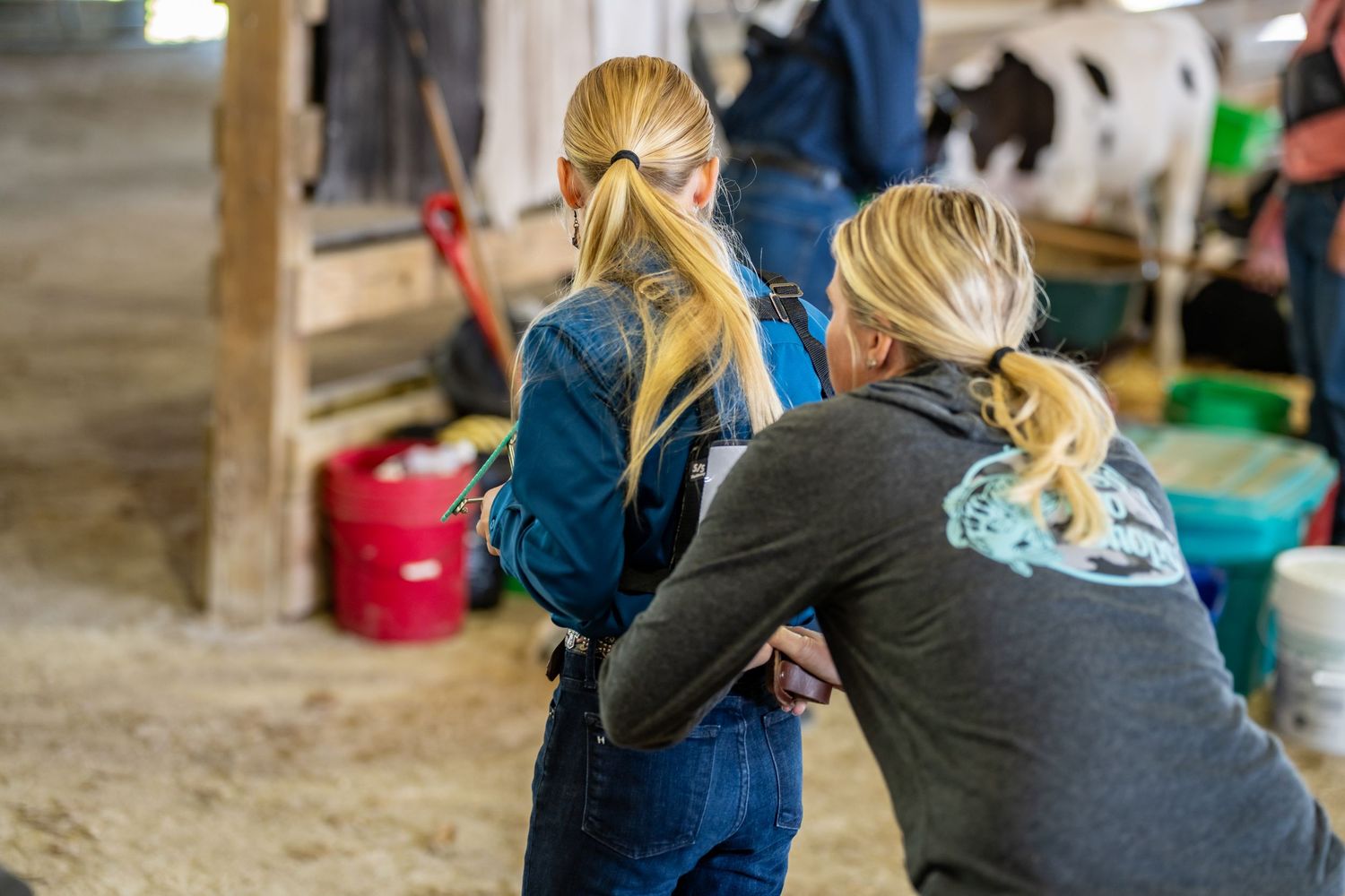 Two blonde women in a barn examining livestock together during an agricultural event.