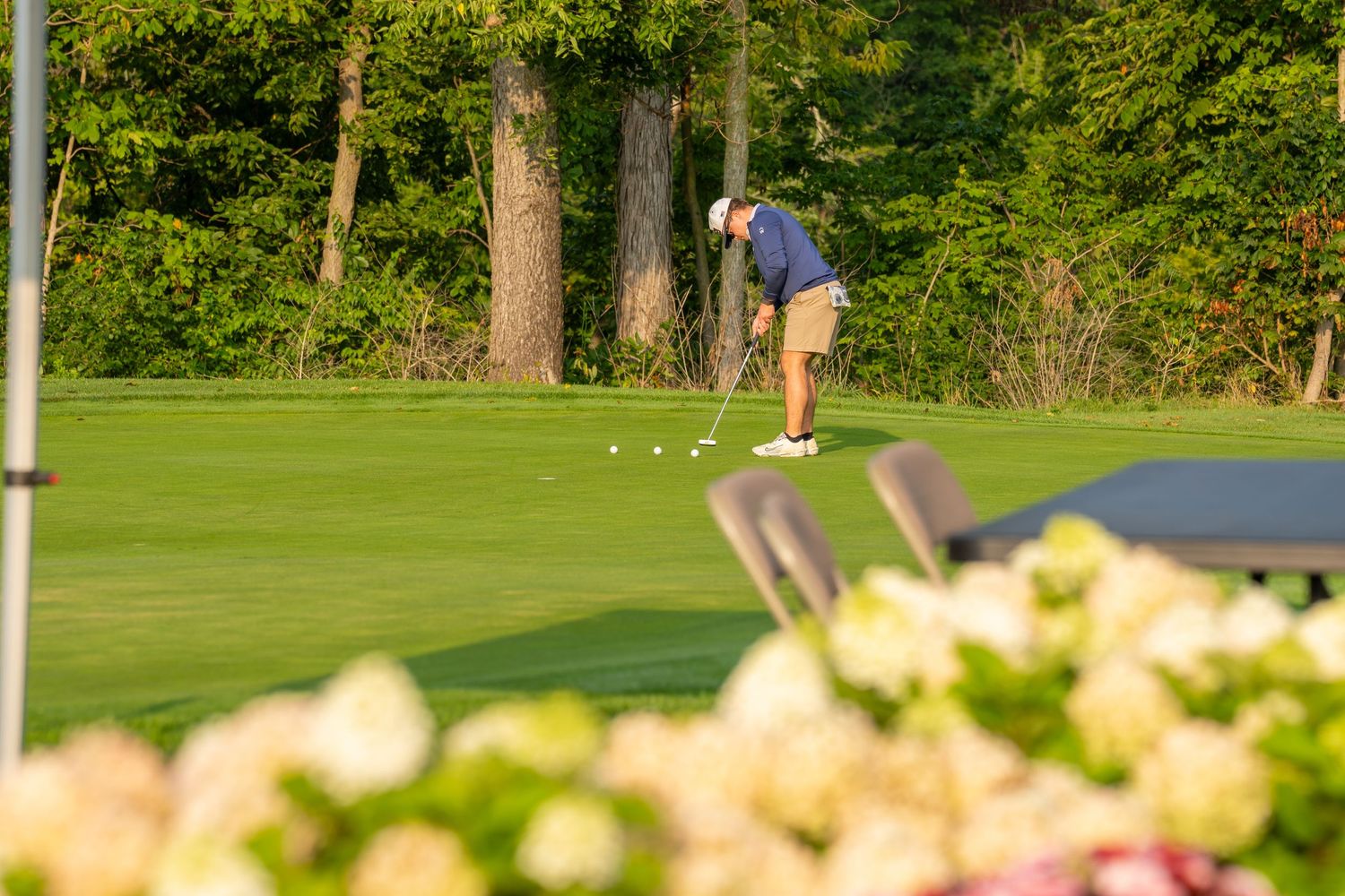 Golfer putting on a lush green golf course surrounded by trees and white hydrangeas in the foreground.