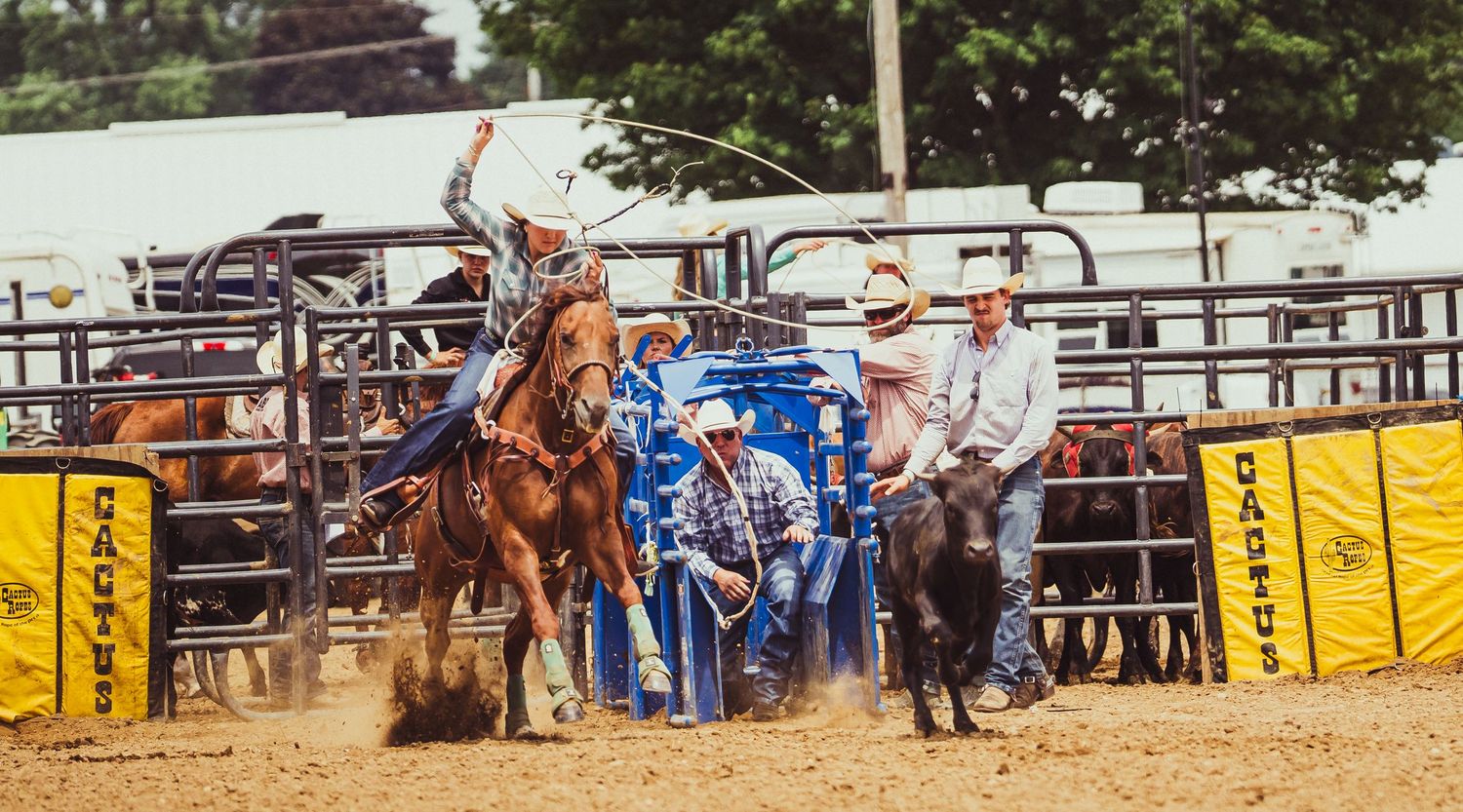 Cowboys compete in a rodeo bronc riding event with spectators watching from the arena fence.