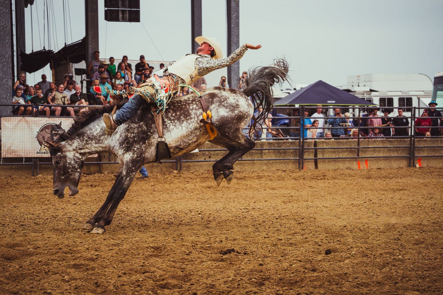 A cowboy rides a bucking gray horse at a rodeo competition with spectators watching in the background.