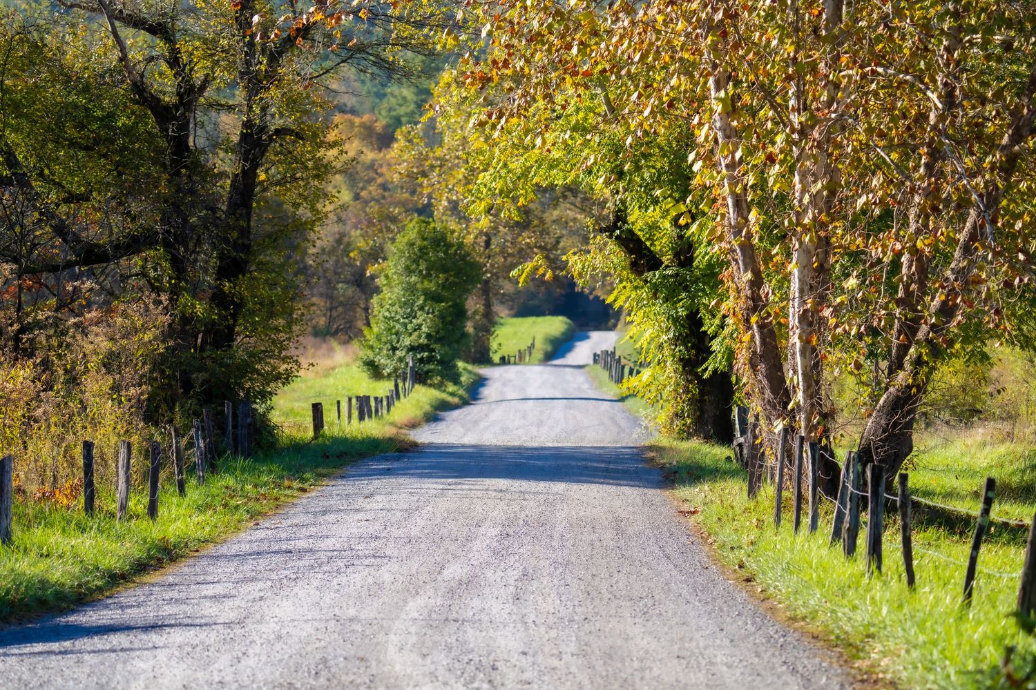 A scenic gravel country road lined with autumn trees and wooden fences in rural countryside.