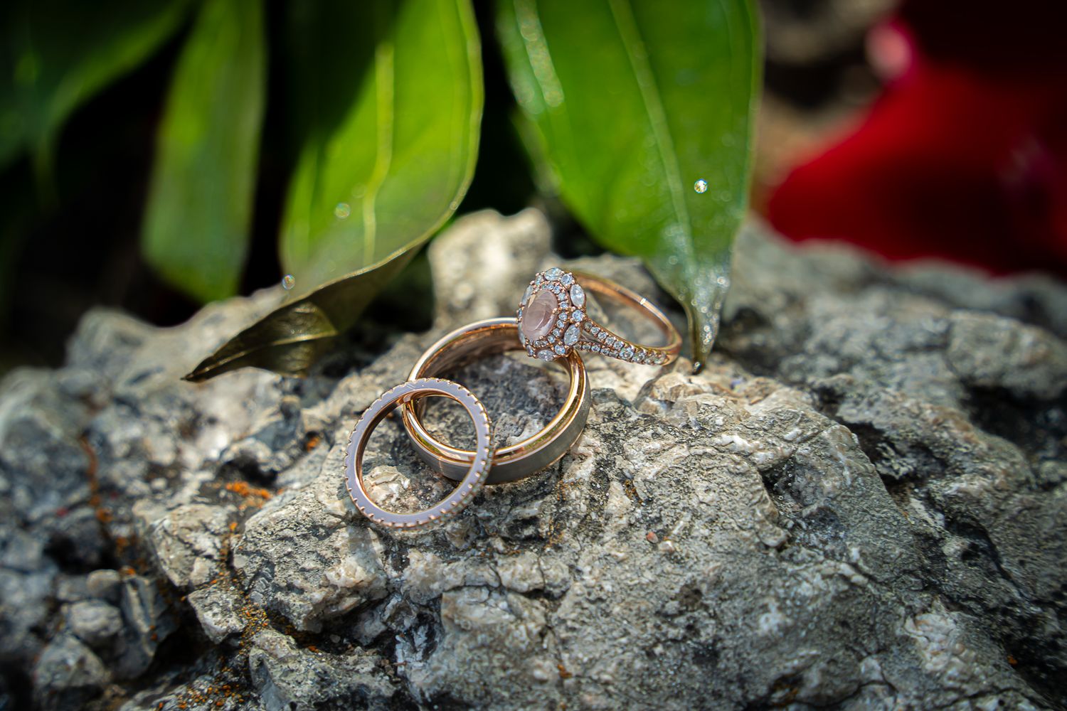 Two rose gold engagement rings resting on rocky surface with green leaves in background.