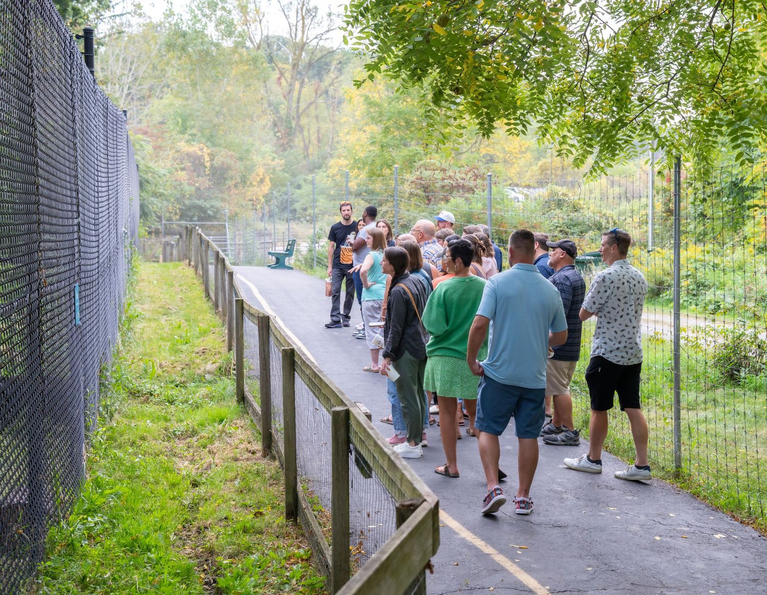 Group of visitors walk along a fenced wooden pathway through a lush green outdoor nature park or zoo.