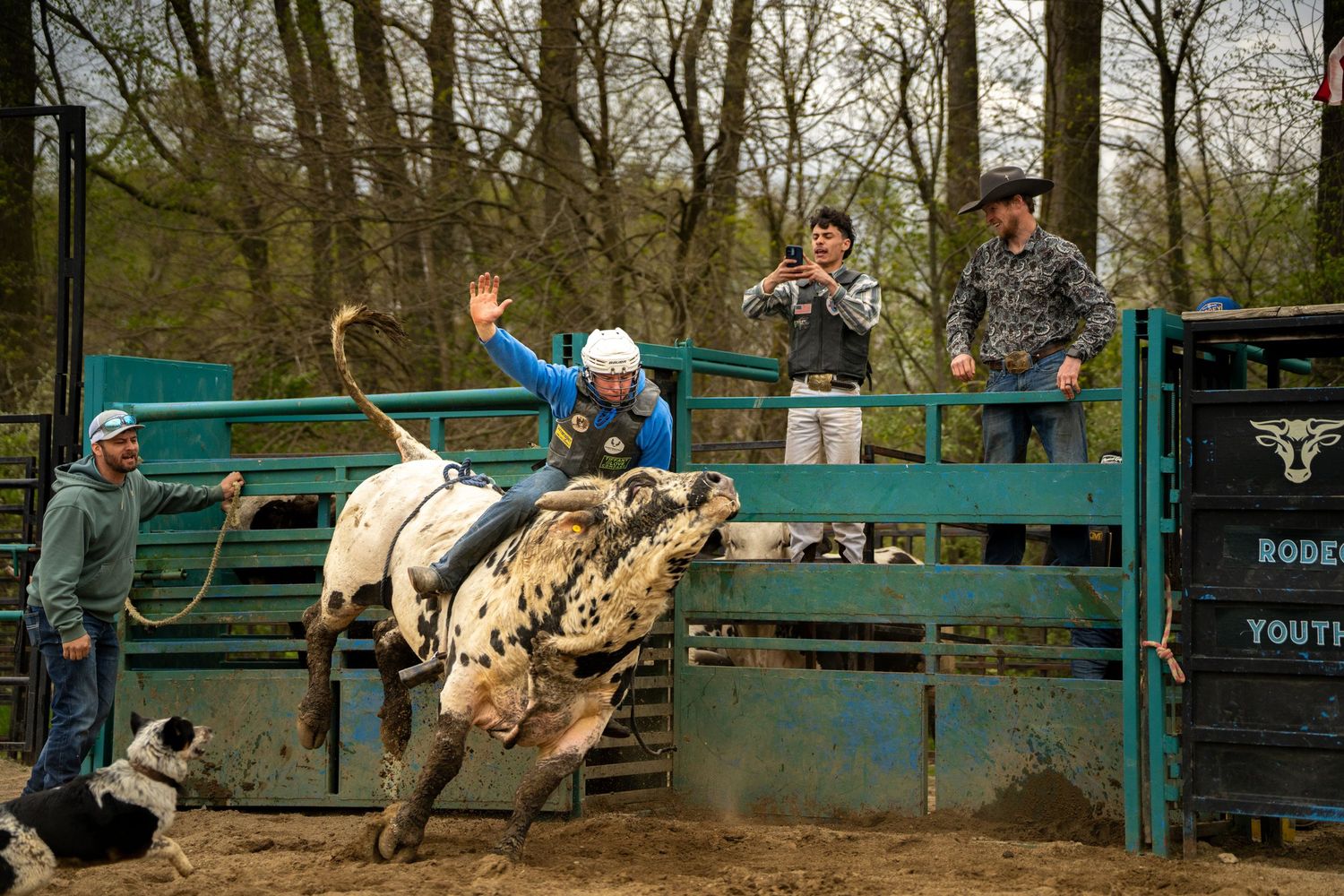 A bull rider in a blue helmet competes at a youth rodeo event, with spectators watching from behind a teal fence.