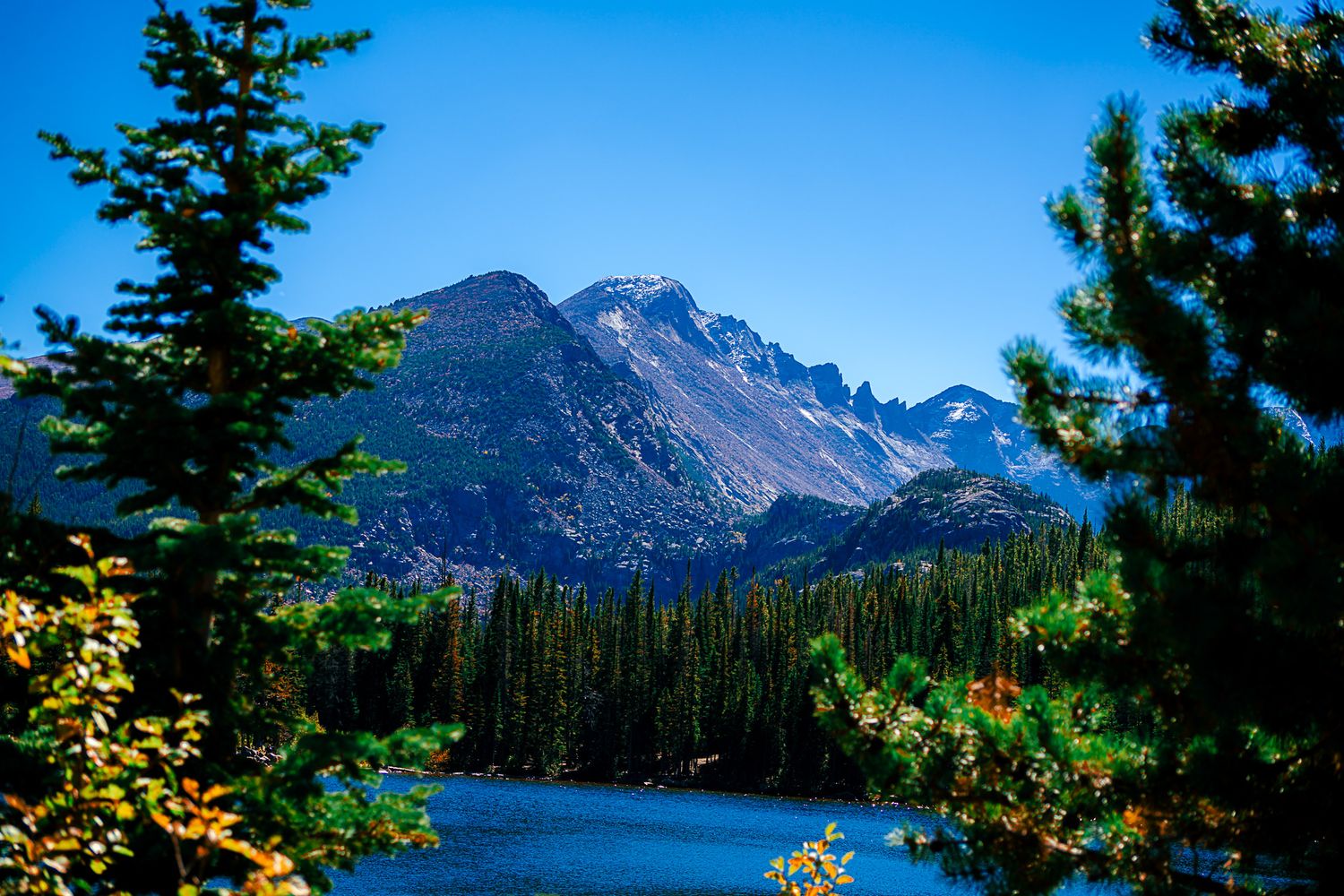 A serene mountain lake surrounded by pine trees with a rocky snow-capped peak under a clear blue sky.