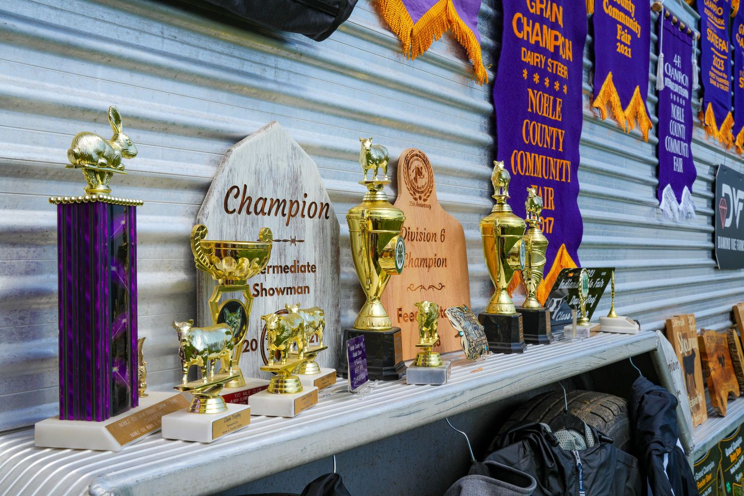 Champion trophies and awards displayed on a table at a livestock show competition.
