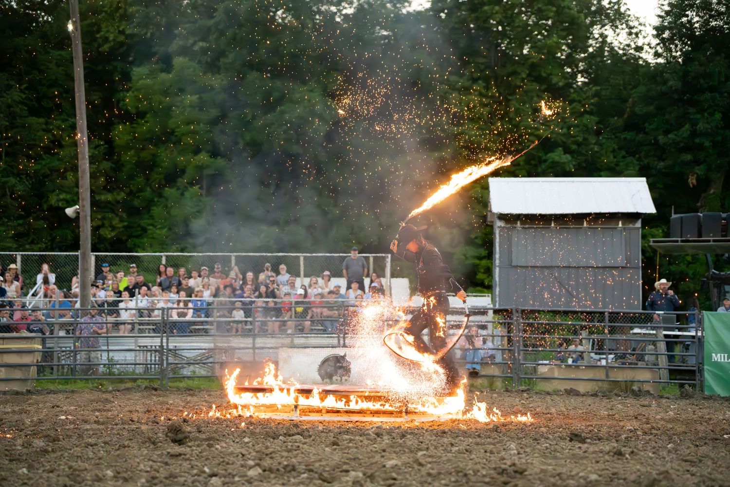 Daring rodeo stunt performer riding a motorcycle through a ring of fire at a nighttime rodeo show.