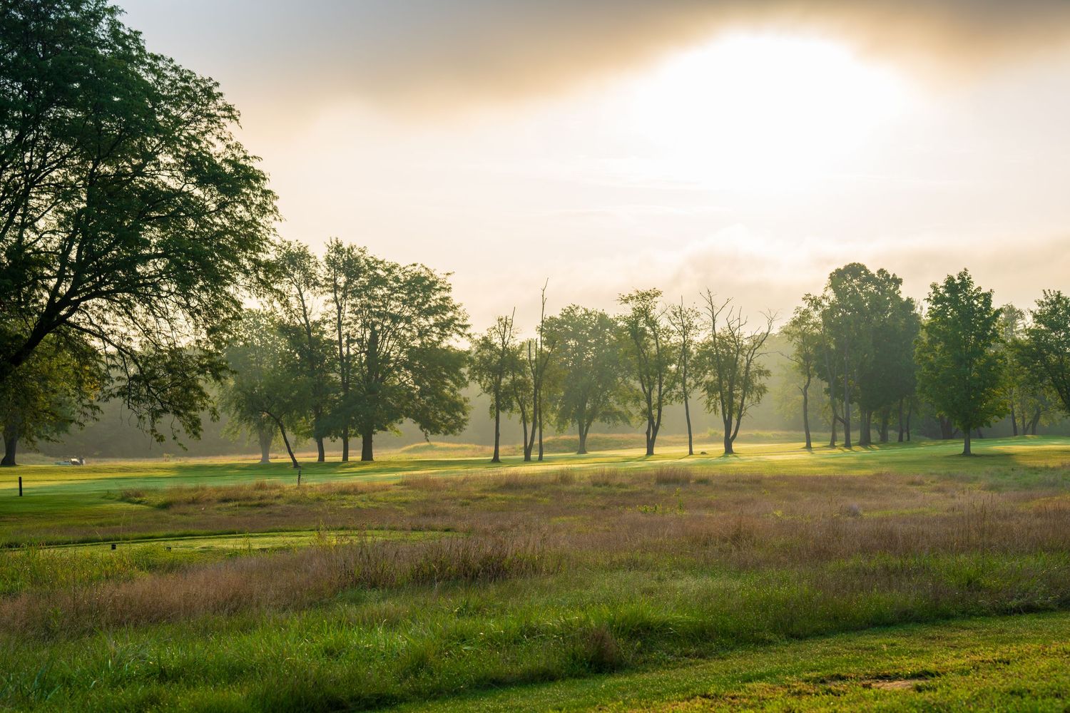 Misty morning sunrise over a lush green golf course with tall trees and golden light filtering through the fog.