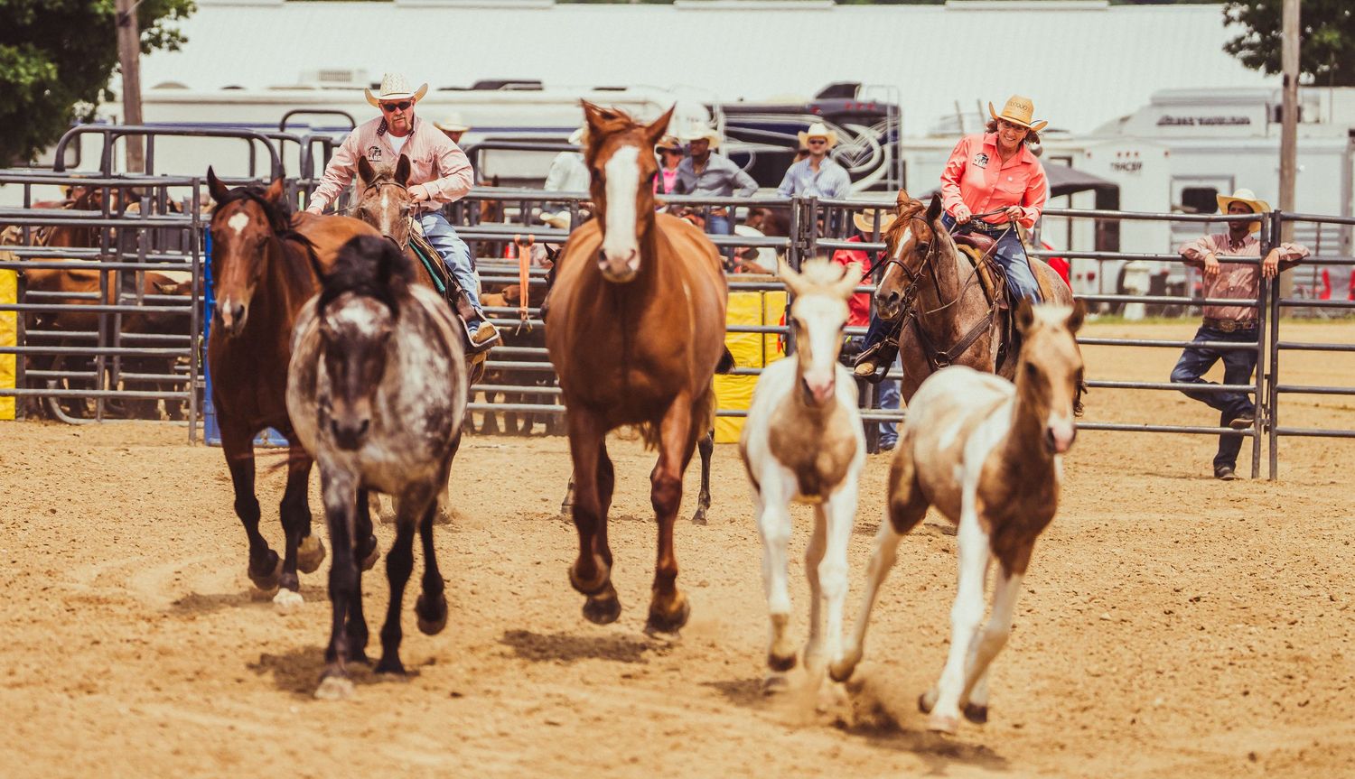 Cowboys herd horses across a dusty rodeo arena during a western equestrian event.