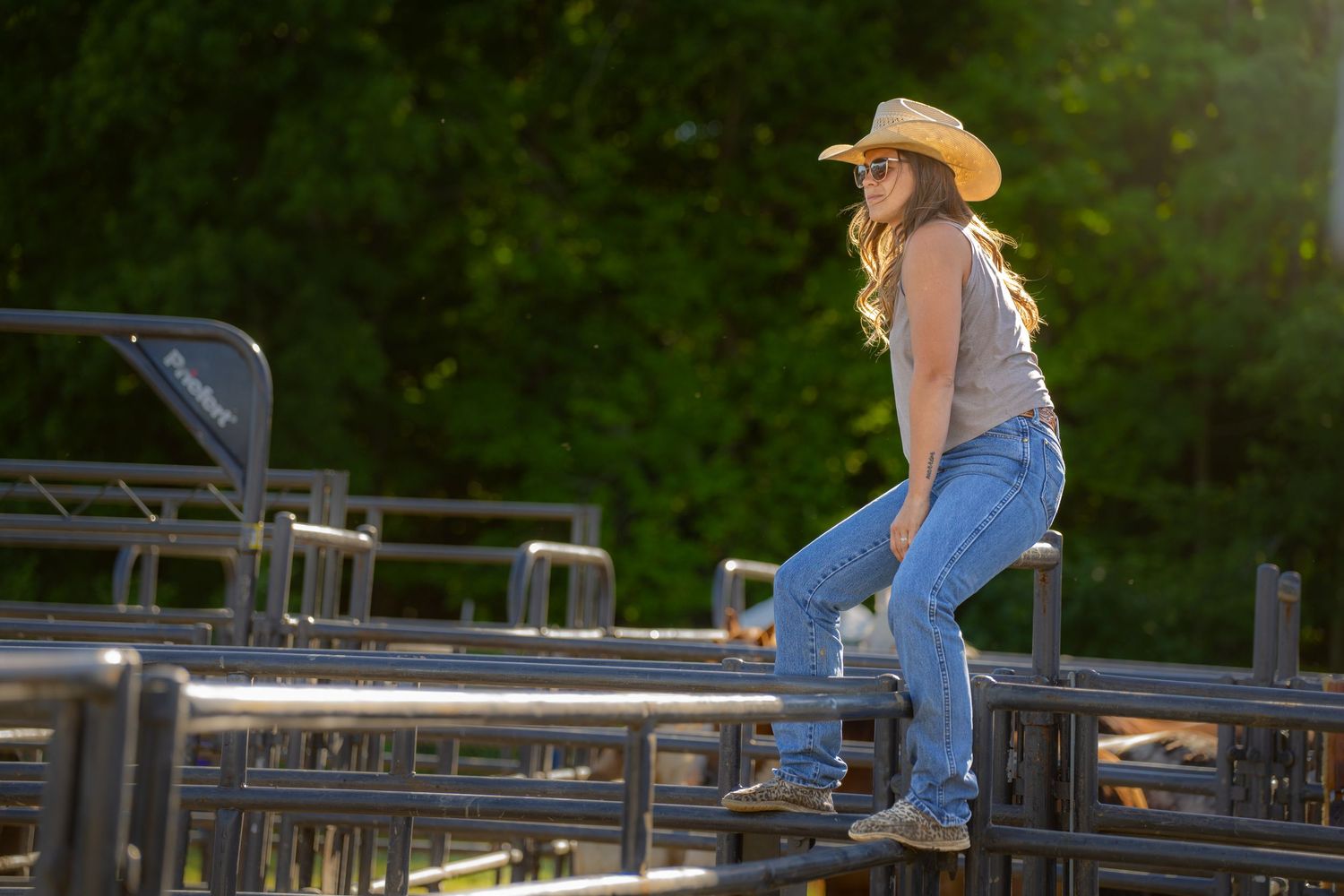 A woman in a cowboy hat and jeans sits on a metal fence rail at a rodeo in golden sunlight.