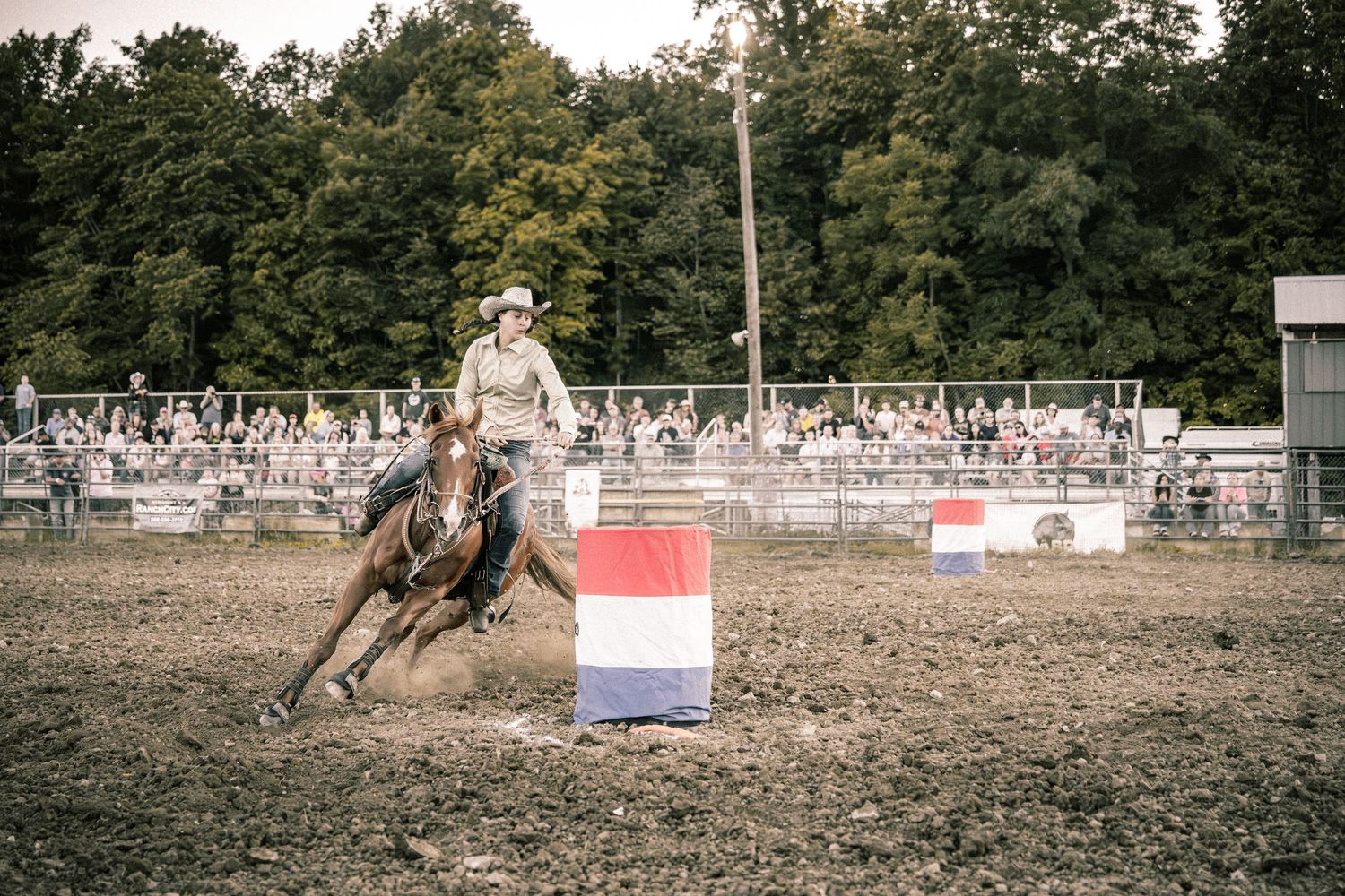 Cowboy on horseback navigating around a red, white, and blue barrel during a rodeo barrel race.