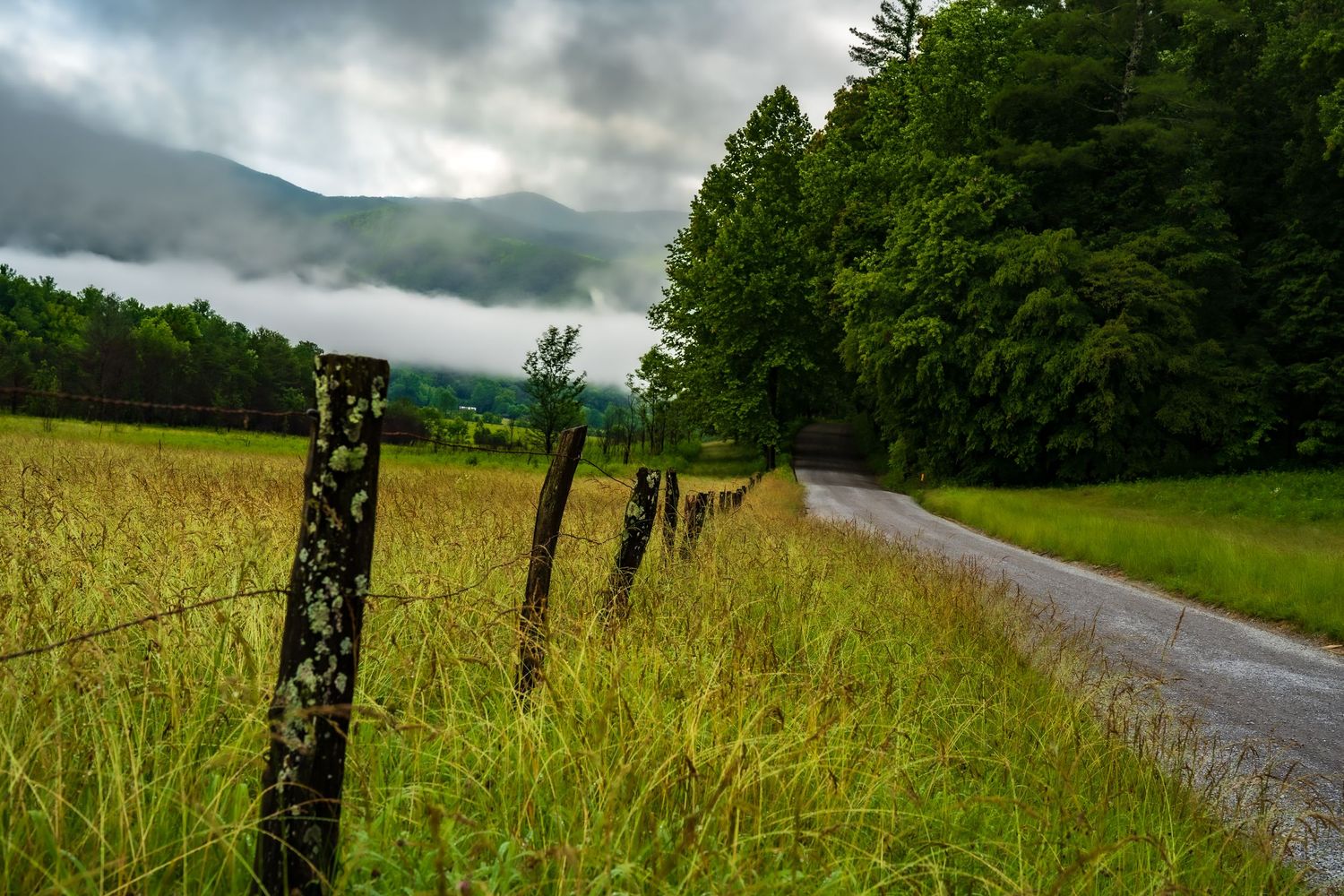 Lichen-covered fence posts line a rural road through tall grass meadows.