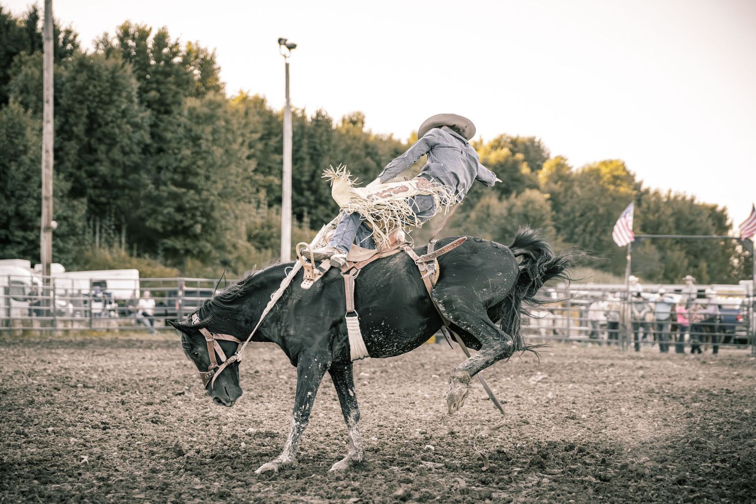 A cowboy in fringed chaps rides a bucking black bronco during a rodeo competition on a dirt arena.