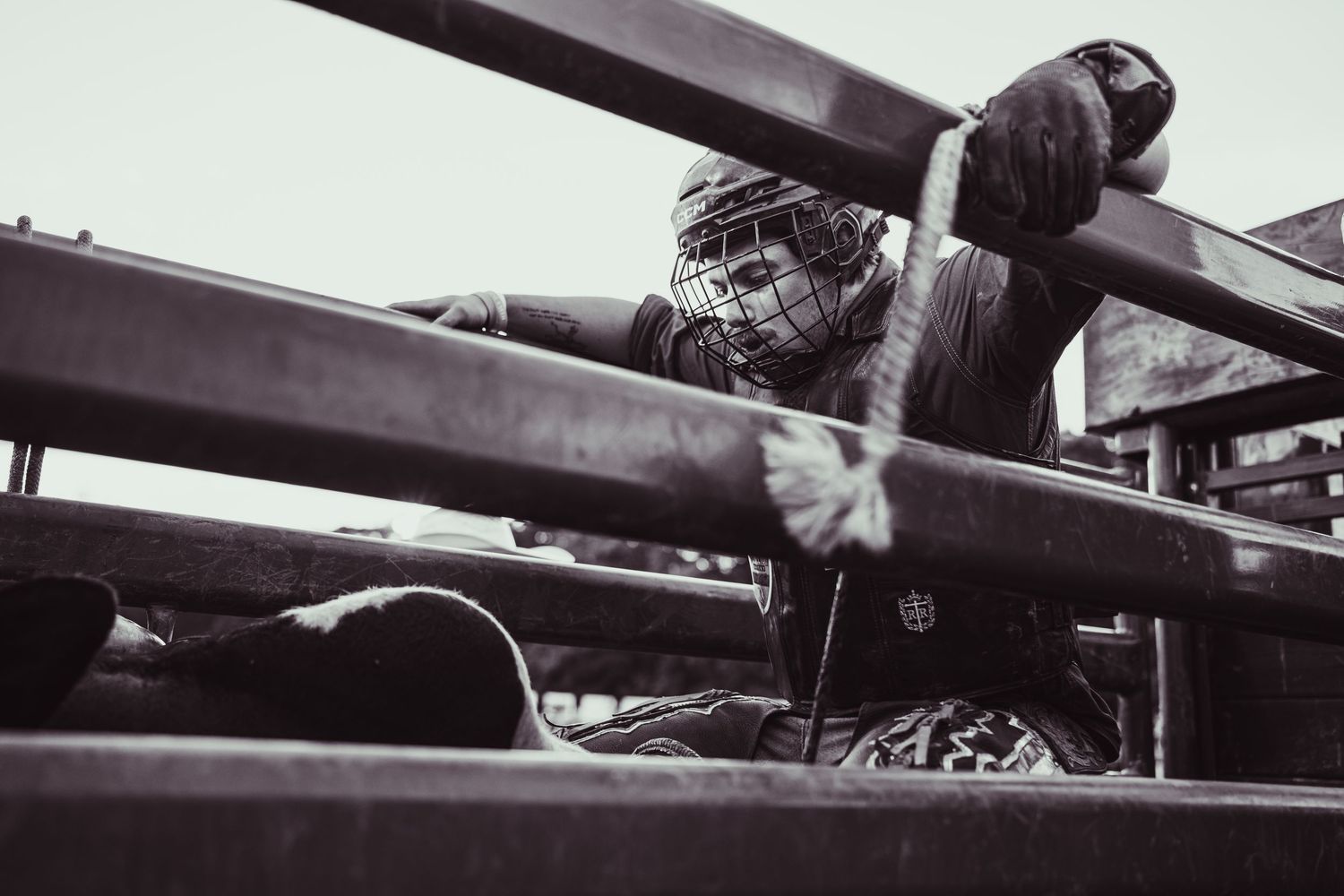 Black and white photo of a rodeo cowboy in helmet climbing metal chute rails at a bull riding event.