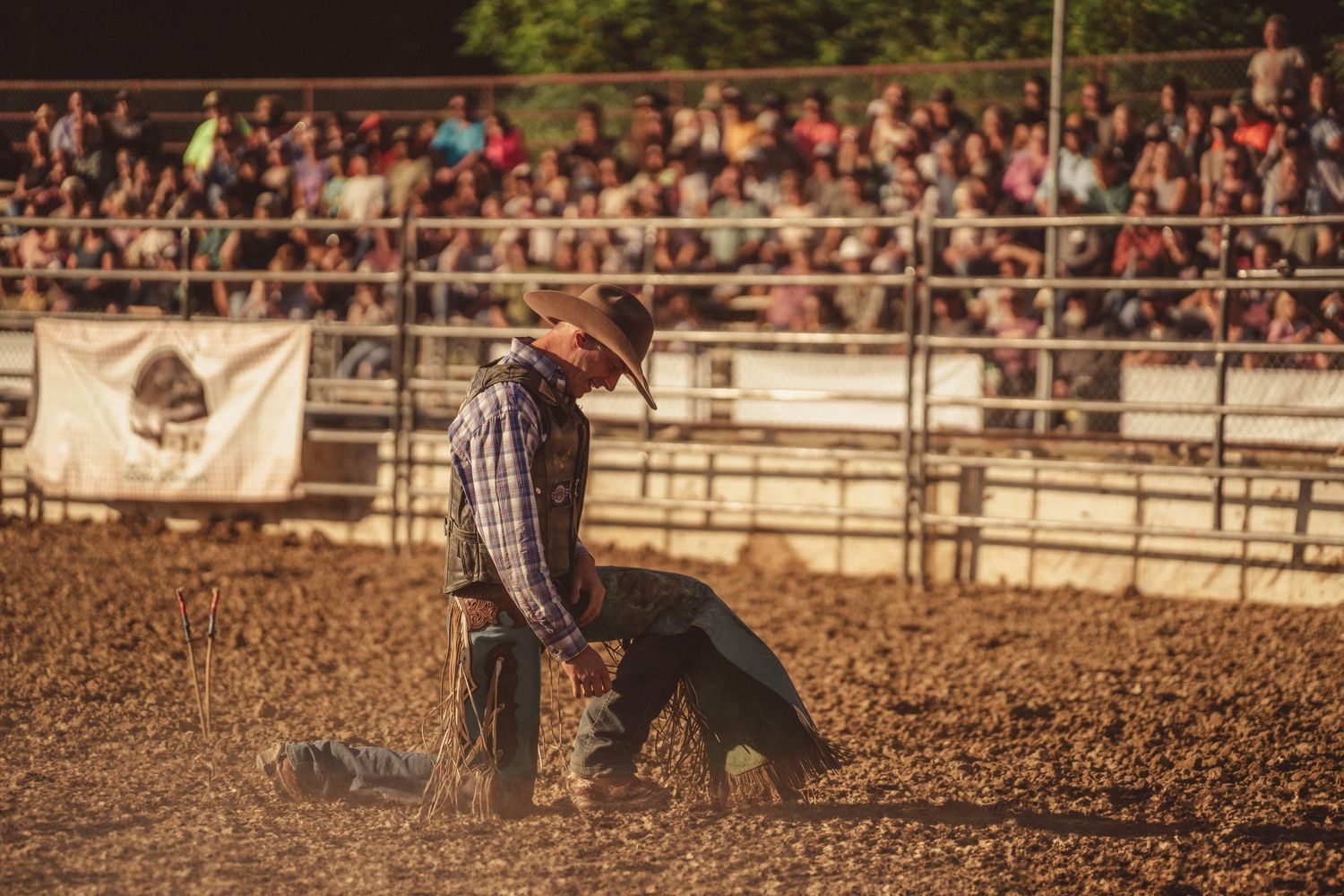A cowboy in a plaid shirt wrestles a calf to the ground in a dusty rodeo arena.