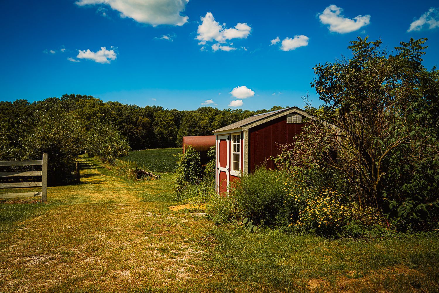 A rustic red shed sits beside a wooden fence in a green rural landscape under a bright blue sky.
