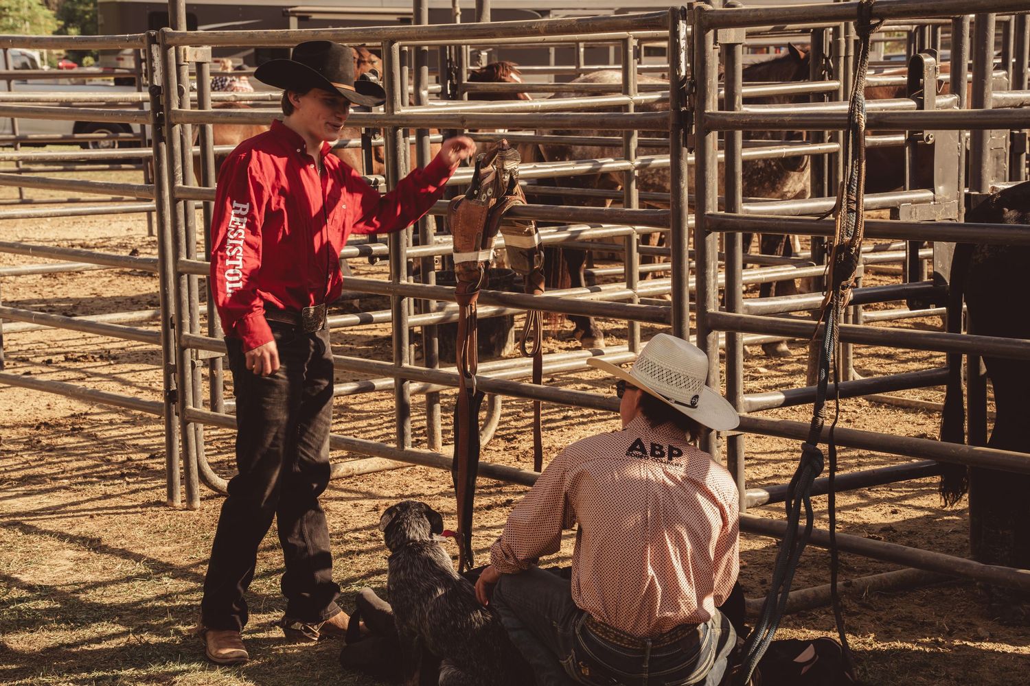 Two cowboys in hats work with livestock inside metal rodeo pens at a sunny outdoor rodeo event.