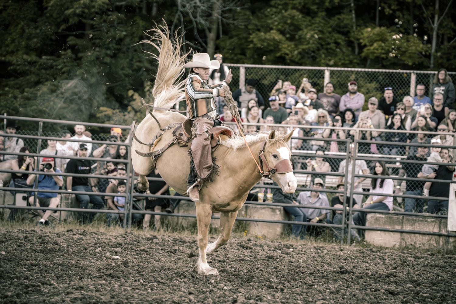 Cowboy riding a bucking bronco horse in front of a crowd at a rodeo event.