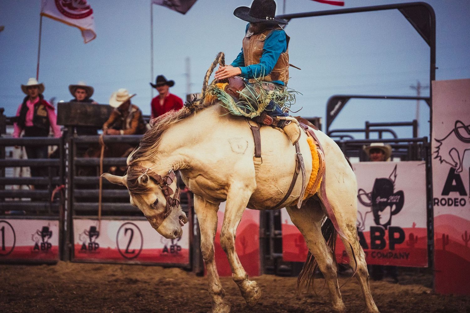 A cowboy rides a bucking palomino horse at a rodeo competition, wearing a black hat and colorful vest.