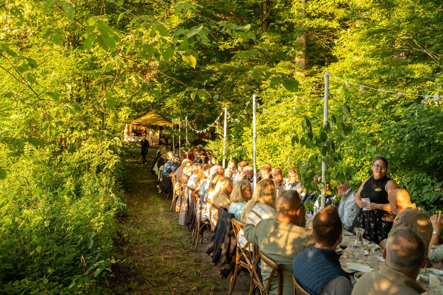 Guests seated along a long outdoor dining table in a sunlit forest clearing during an elegant al fresco dinner.
