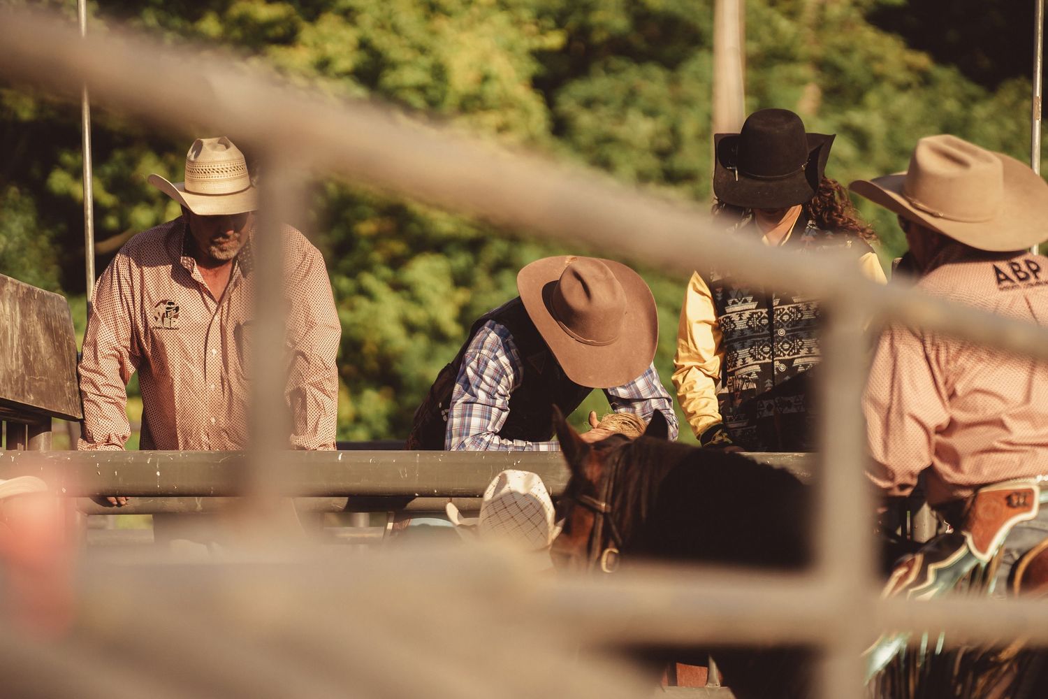 Cowboys in hats prepare behind the rodeo chutes, viewed through a metal fence at a rodeo.