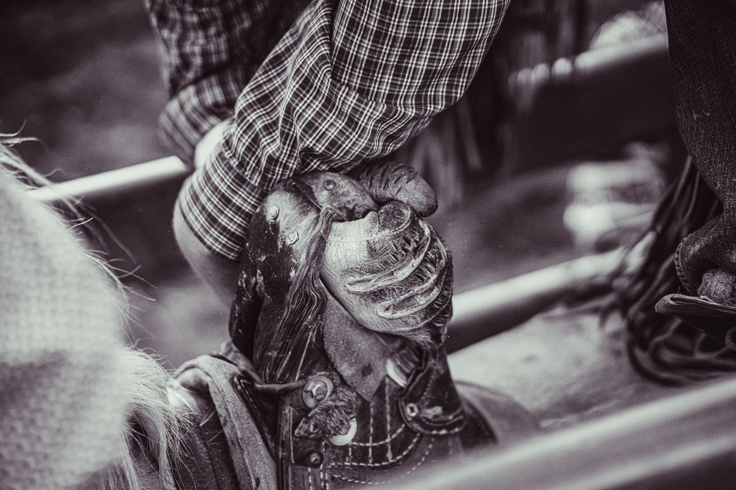 Black and white photo of a cowboy gripping a saddle horn at a rodeo event.