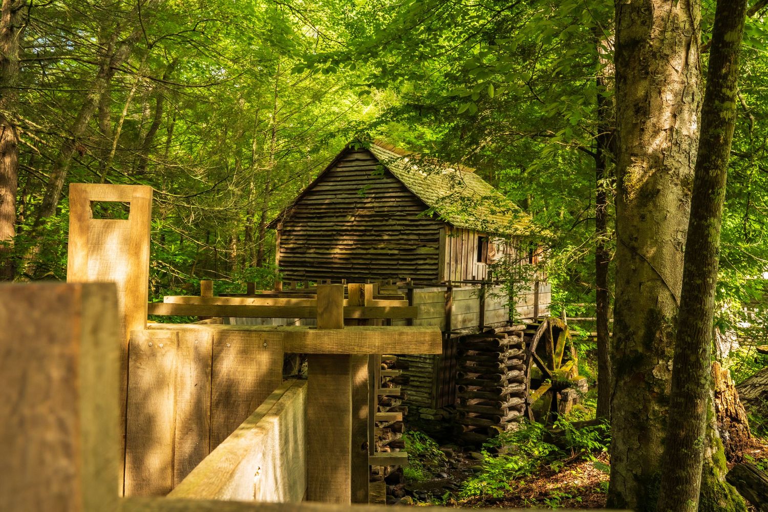 Historic wooden grist mill with water wheel nestled among lush green trees in a forest setting.