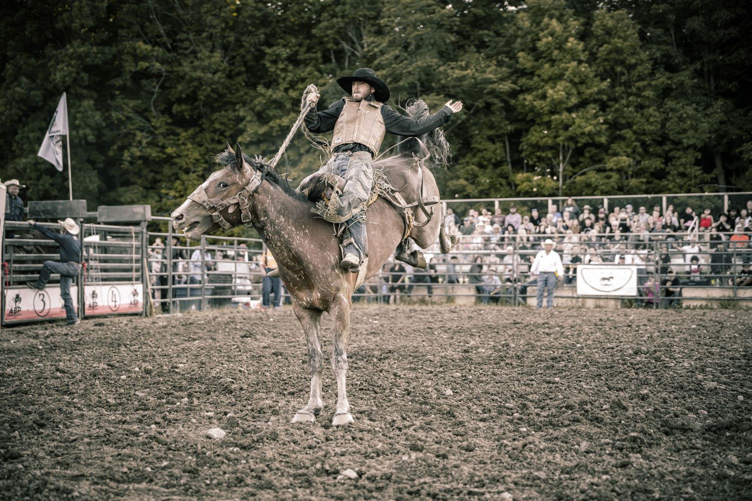 A cowboy rides a bucking bronco at a rodeo event with a crowd of spectators watching from the fence.