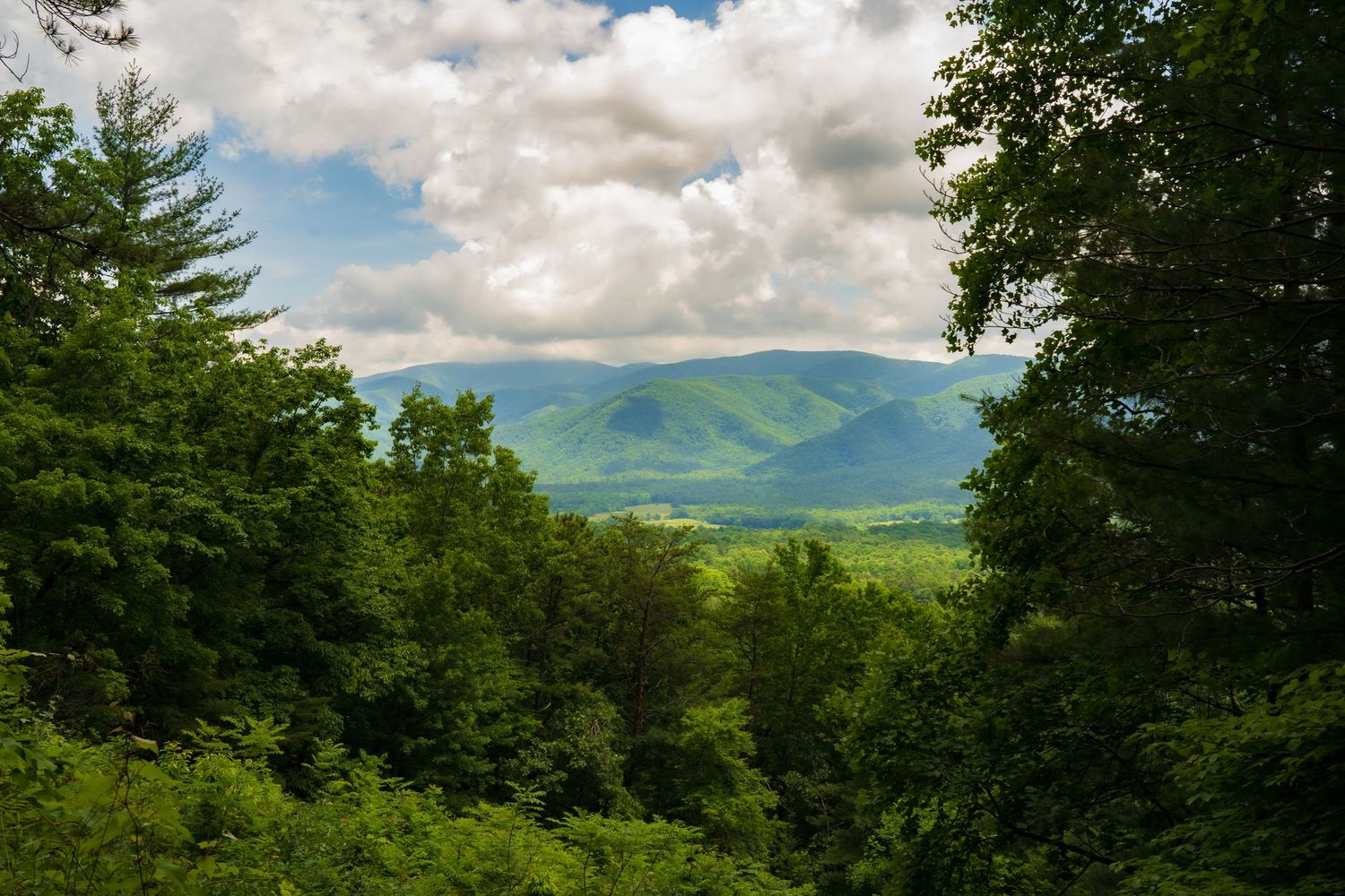Lush green forest overlooks a scenic mountain valley under a partly cloudy sky in the Smoky Mountains.